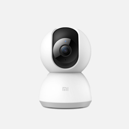 Security and Surveillance